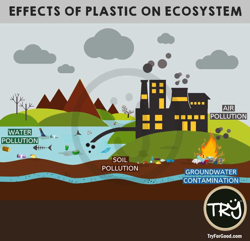 what are the effects of chewing on plastic